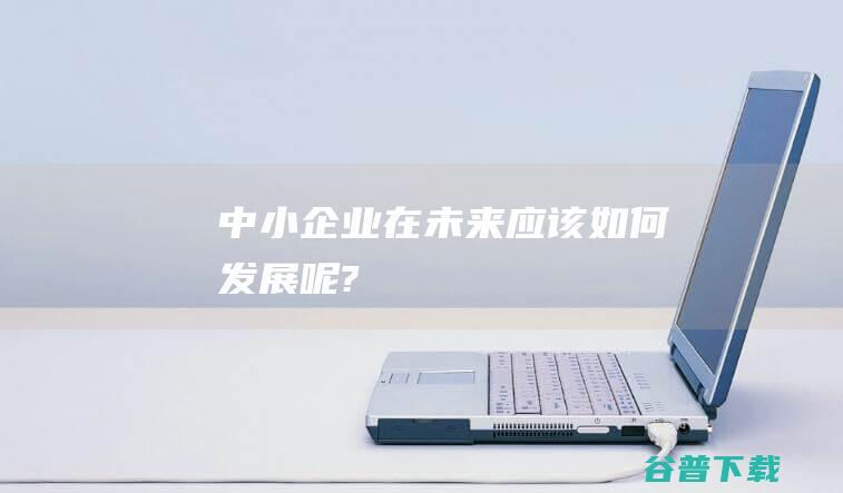 中小企业在未来应该如何发展呢?